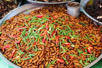 Plate of cooked worms sold in a Cambogian street market