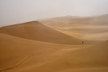 Fototapeta na wymiar A lone hiker in a morning mist following vehicle tracks through the dunes of the Namib desert