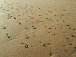 pisadas sobre la arena, playa