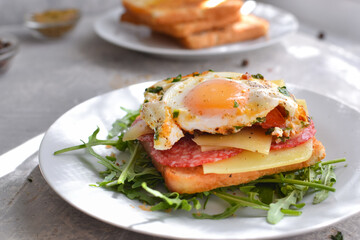 Tasty breakfast. Toast with egg, cheese and sausage. Sandwich in a white plate with arugula. Light background. Closeup