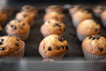 Homemade chocolate cupcakes