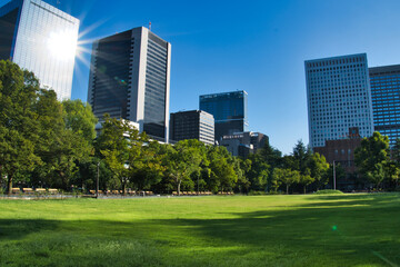 Obraz premium 都会の中の公園
