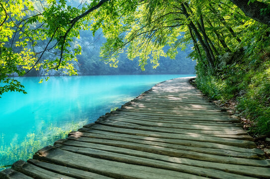 Plitvice lakes in Croatia. National Park in summer. Waterfalls and lakes among the forest. Footpath for hiking. Croatian travel image.