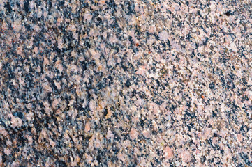 Sea stone texture. Panel texture. Background fill. Natural stone background.