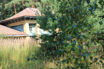 Village house. Wooden house in the forest.