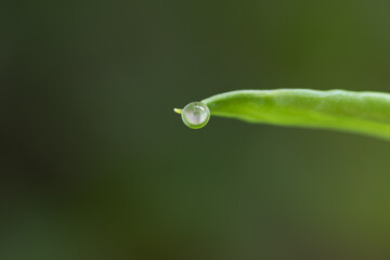 Macro photo of droplets 