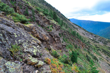 .mountain stone slope overgrown with moss grass, bushes and trees in the Baikal green mountains