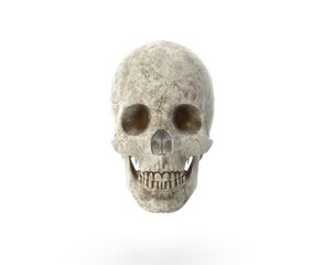 grunge human skull isolated dirty in clean white background