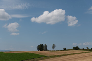 9月の素敵な雲と美瑛の田園風景