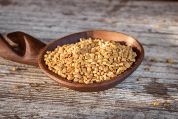 Fenugreek seeds on a wooden spoon on a table
