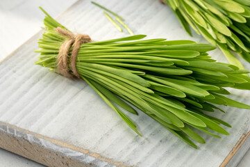 Freshly grown barley grass blades