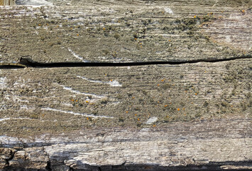 texture of old painted shabby rustic wooden fence made of planks, with rusty nails, grunge background