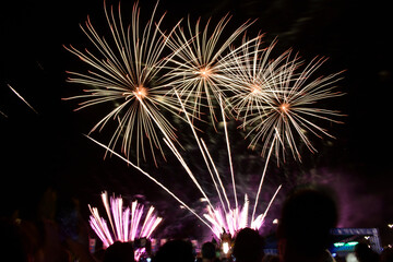 Fototapeta na wymiar Festive fireworks.Bright rockets in the evening sky
