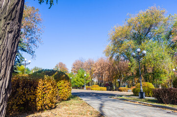 Fototapeta premium Autumn urban landscape on a Sunny day - yellow autumn trees in the Park, colorful red and orange leaves, and bright sky with clouds