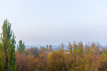 Fototapeta premium Autumn urban landscape on a Sunny day - yellow and colorful autumn trees, the sky with clouds with autumn haze