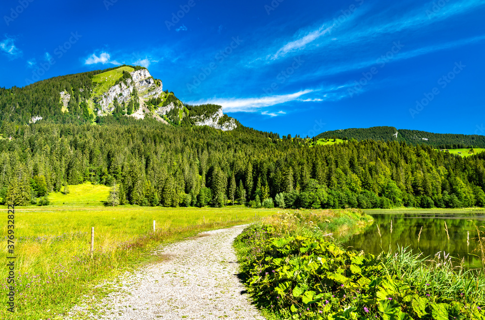 Wall mural View of Brunnelistock mountain at Obersee lake in the Swiss Alps