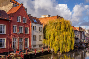 The picture of typical old Flemish houses with colourful autumn tree in Gent