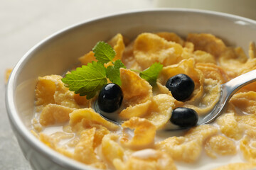 Muesli with milk, blueberry and spoon, close up