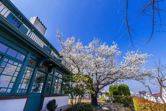 68 Best 西洋庭園 Images Stock Photos Vectors Adobe Stock