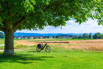 Fototapete bei efototapeten.de bestellen