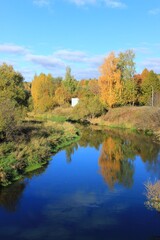 Fototapeta premium Autumn. View of the river and trees on the banks. Russia.