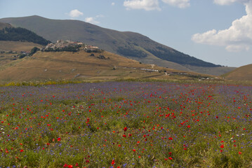 The plateau of Castelluccio in UMBRIA, Italy