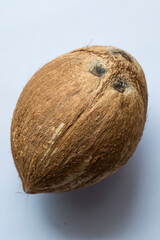 Coconut