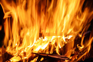 Burning wood firewood and on a dark background