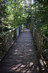 Fototapeta na wymiar A trail in the Métis garden, Gaspésie