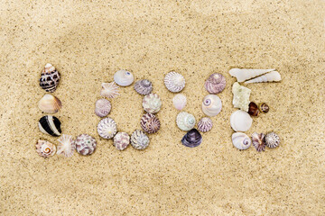Fototapeta na wymiar Word 'Love' written by sea shells on the sand background