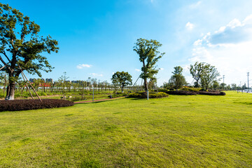 green lawn in city park