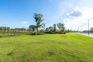 green lawn in city park