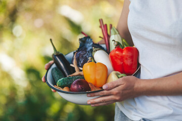 Female hands hold a plate of vegetables, home farming. Vitamin food grown in the garden.