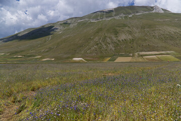 The plateau of Castelluccio in UMBRIA, Italy