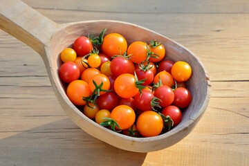 Fototapeta na wymiar Small red and yellow cherry tomatoes in a large wooden spoon close up