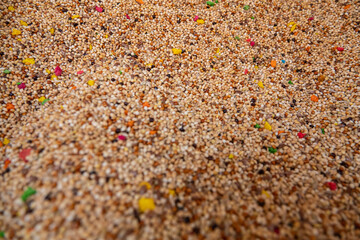 Budgerigar feed in grand bazaar kemeralti izmir turkey