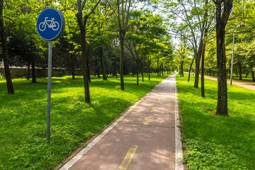 Bicycle signs on the forest bicycle way.