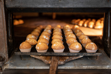 Cupcakes tray freshly baked