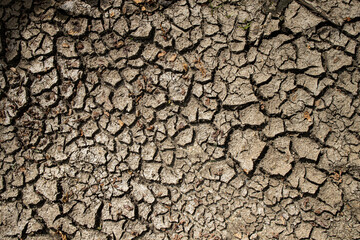 dry cracked earth