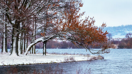 Winter landscape with snow-covered trees near the river