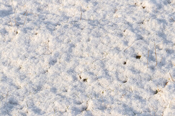 Snow texture in sunny weather, winter background