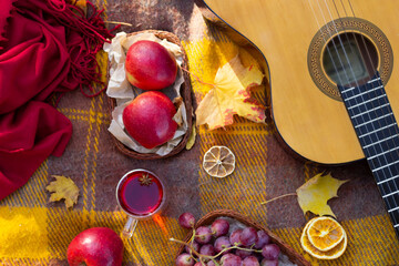 Autumn picnic in the park.Outdoors picnic close up.Autumn relax with guitar.