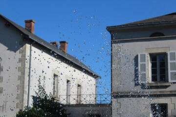 GOUTTES D'EAU EN ETE