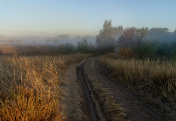 Autumn time. Dawn in a hazy, brooding haze. Beautiful view of the forest and field on a foggy early morning. The sun's rays of light.