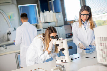 Fototapeta premium Group of young researchers analyzing chemical data in the laboratory