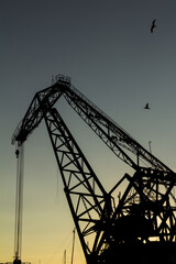 Fototapeta na wymiar A work machine, The Crane