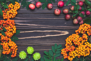 Autumn background, September mockup, template with copy space, harvest still life on dark board. Thanksgiving card, seasonal frame with composition. Red rowan berries, small apples and green chestnut.