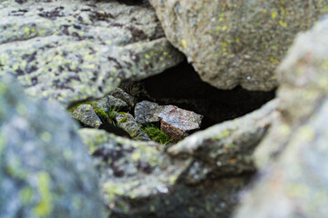 rock frame