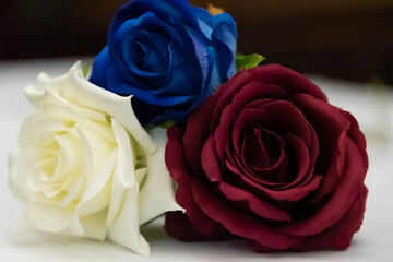 Red White and Blue Flowers British roses 