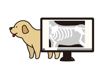 犬とデジタルレントゲン写真